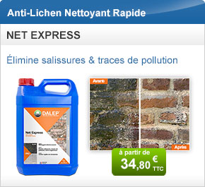 Anti-Lichen Nettoyant Rapide - NET EXPRESS - Élimine salissures, traces de pollution et micro-organismes