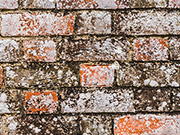 Produit nettoyant et décapant pour toiture, terrasse et mur